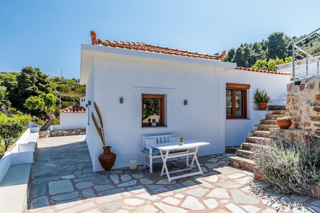 Villa Koukounaria Skopelos Town Bagian luar foto