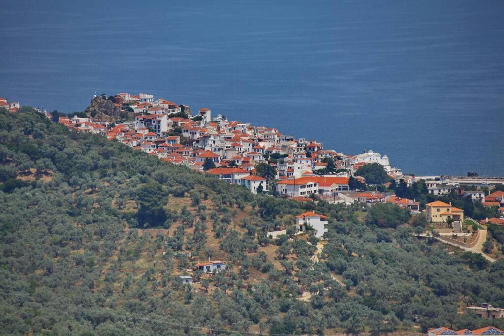 Villa Koukounaria Skopelos Town Bagian luar foto